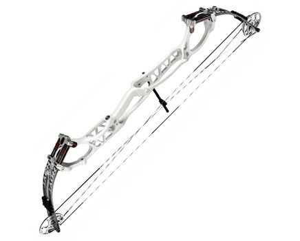 Купите блочный лук Hoyt Pro Comp Elite XL в Ставрополе в нашем интернет-магазине