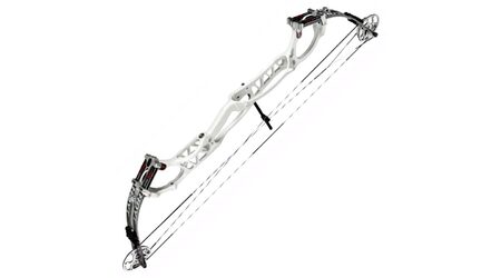 купите Лук блочный Hoyt Pro Comp Elite XL в Ставрополе