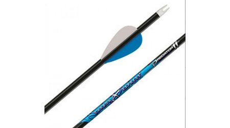 купите Стрела для лука Carbon Express Maxima Blue Streak 350 Blazer Vanes (6 штук) в Ставрополе